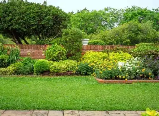 landscaping services Farmersville